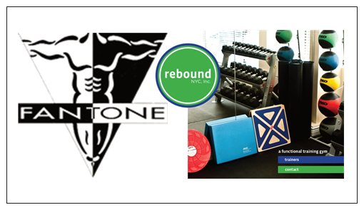 FantoneFitnessRebound